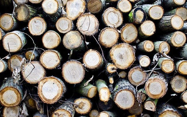 Jak spát pod širákem: Kompletní průvodce pro pohodlné a bezpečné nocování v přírodě