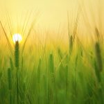 Jak ušetřit na energiích v roce 2026: Praktický průvodce