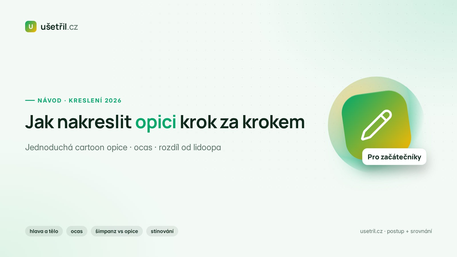Jak nakreslit opici: návod pro začátečníky s cartoon opicí, ocasem a rozdílem oproti lidoopovi