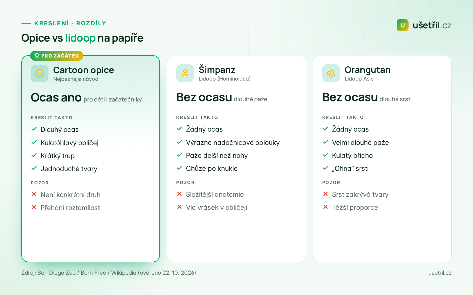 Srovnání při kreslení: cartoon opice s ocasem, šimpanz bez ocasu a orangutan s dlouhou srstí