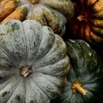 Halloween 2026 v Česku: Kde se slaví a tipy na kostýmy