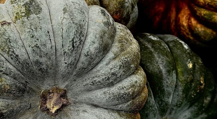 Halloween 2026 v Česku: Kde se slaví a tipy na kostýmy